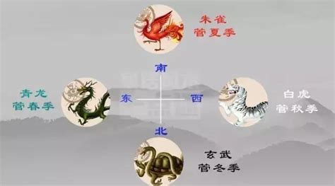 左青龍右白虎風水|青龍、白虎、朱雀、玄武...神獸4方位簡易居家風水檢。